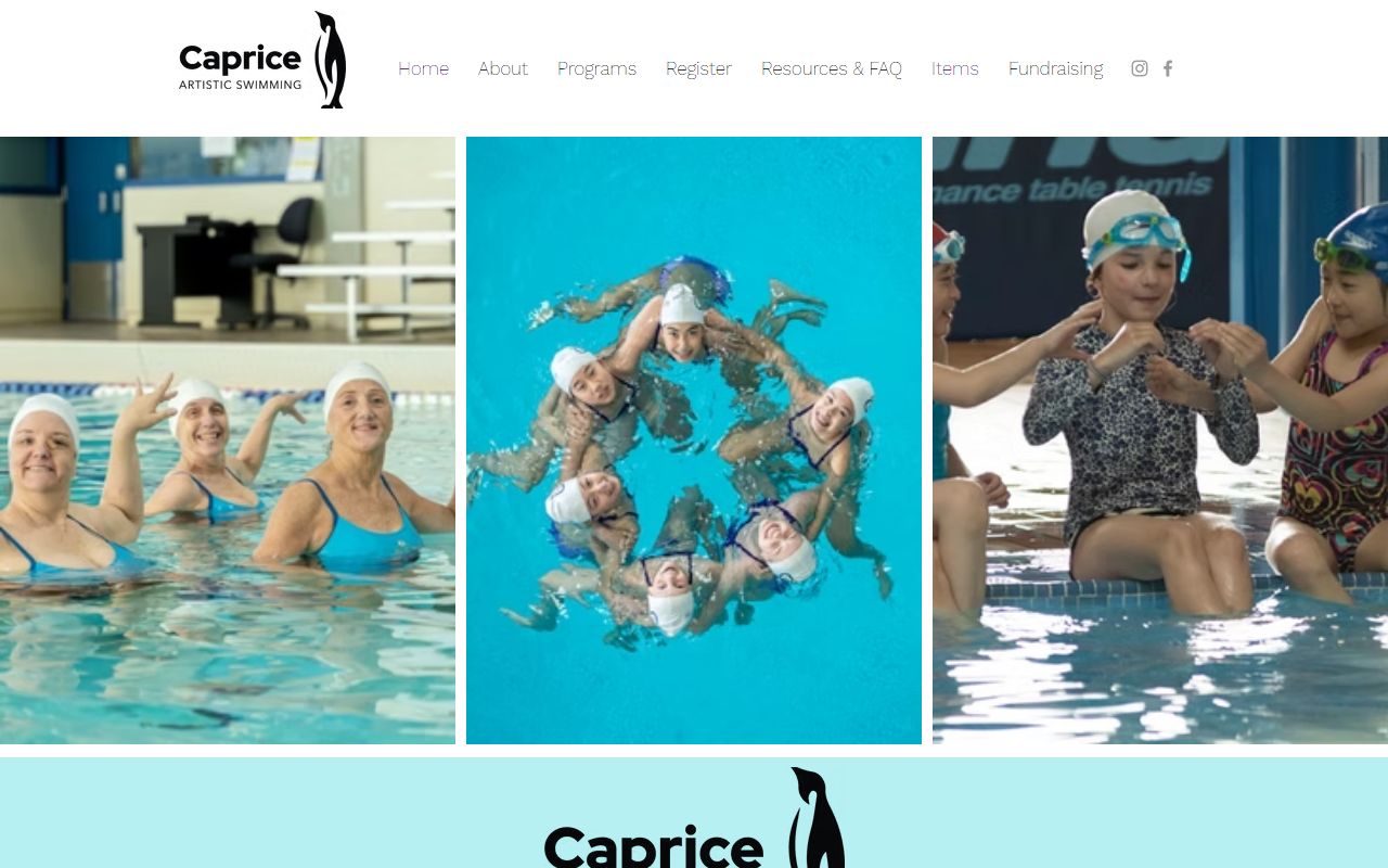 beaufort County criminal history sheriff office website