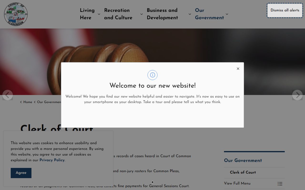 Clarendon County Clerk of Court website for criminal history records